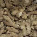 Jamaican Ginger