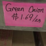 Green Onion